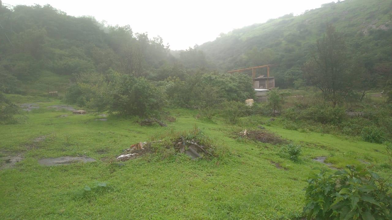  Residential Plot for Sale of Plot 2 Acre in Maval Lonavala by Dinesh Tripathi