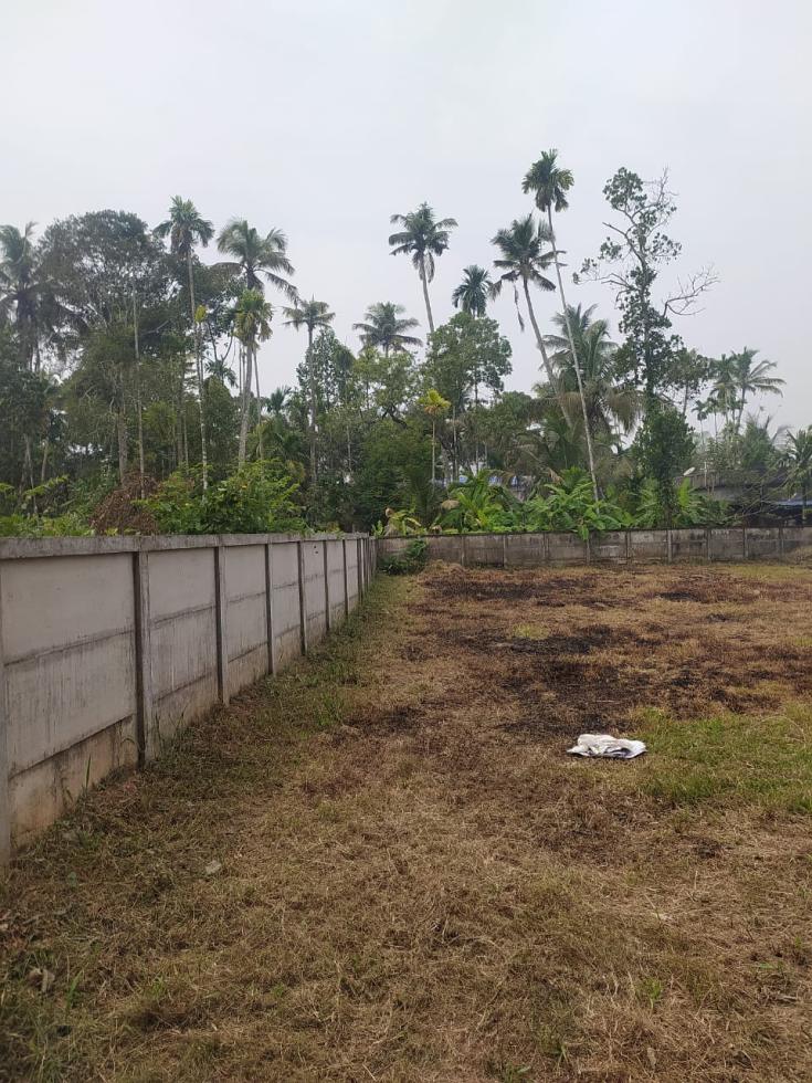  Residential Plot for Sale of Plot 25 Cents in Kochi  Ernakulam by Vinitha
