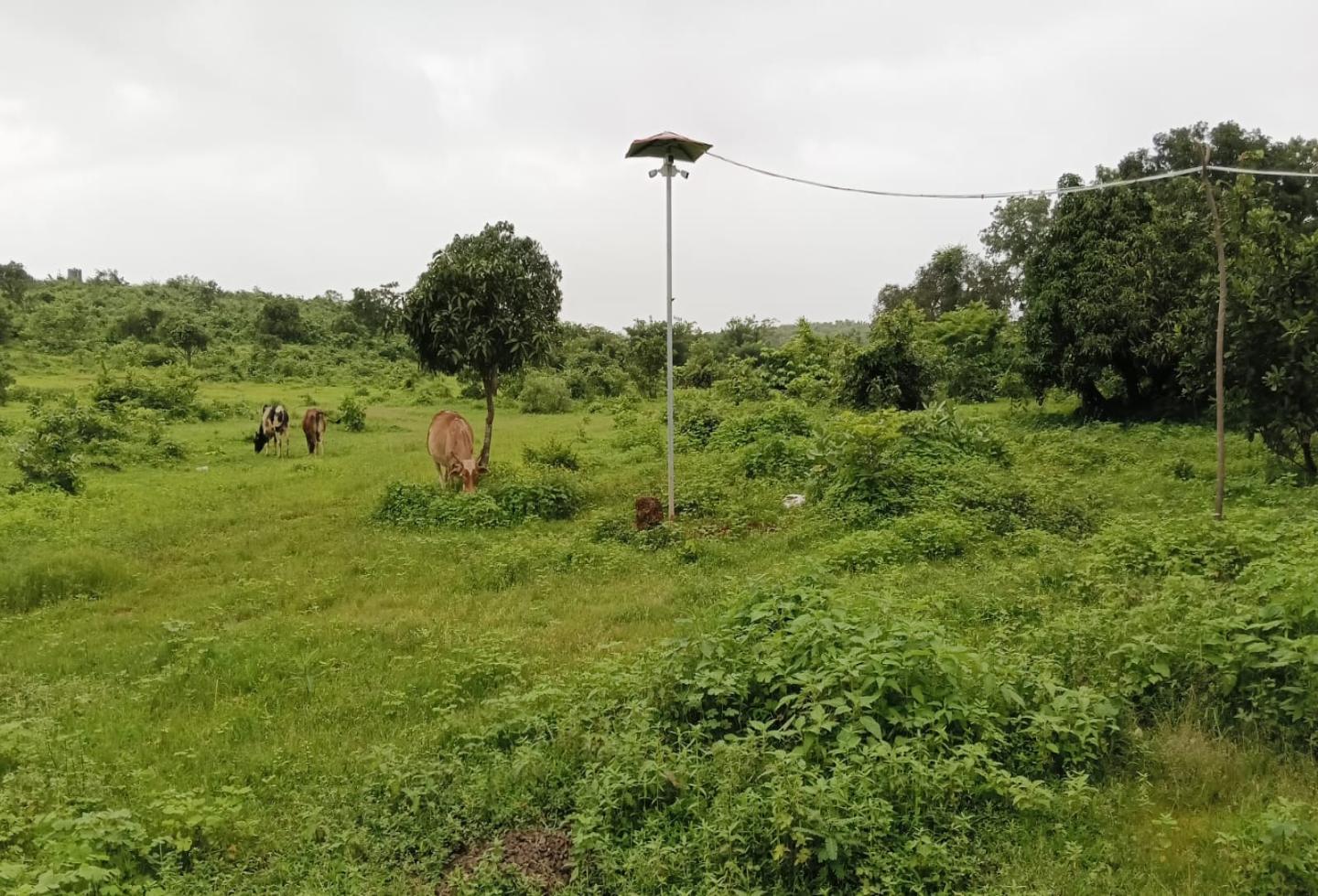  Residential Plot for Sale of Plot 30 Acre in Guhagar Ratnagiri by Times Properties