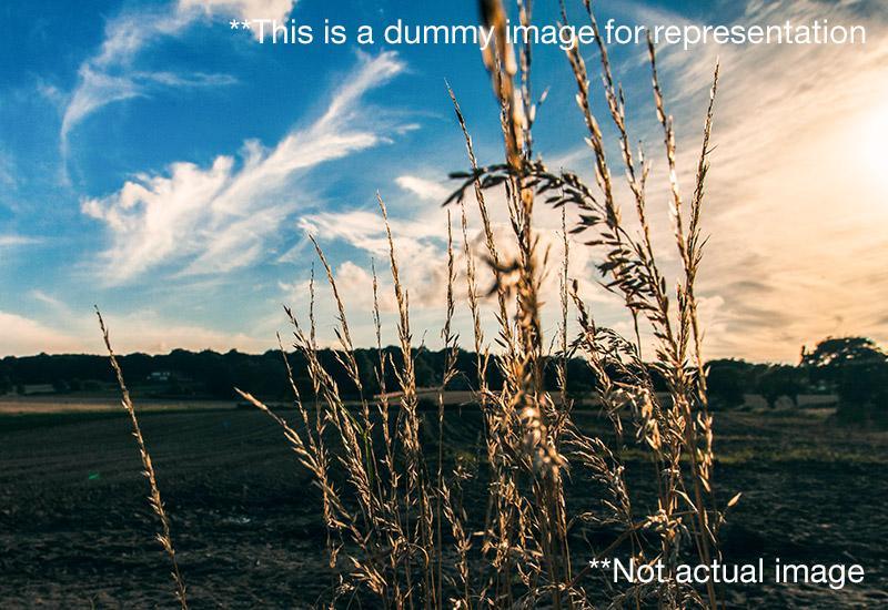 Residential Plot for Sale in Lavisa Planet Nandi Hills Bangalore Residential Plot for Sale in Lavisa Planet Nandi Hills Bangalore