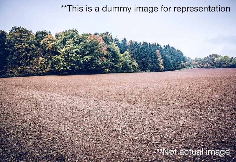 Other Residential Plot for Sale in Avirahi City  Dholera Ahmedabad