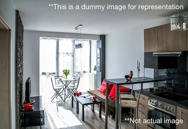 1 BHK Flat for Rent in Link Palace CHS Gokuldham Goregaon East Mumbai