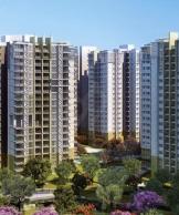 5 BHK Penthouse for Sale of Carpet 2030 Sq.ft in Shapoorji Pallonji Parkwest Binnypet Bangalore by Robin 5 BHK Penthouse for Sale of Carpet 2030 Sq.ft in Shapoorji Pallonji Parkwest Binnypet Bangalore by Robin