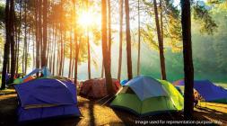 Mount Alterra Camping