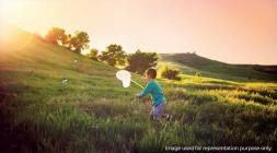 Mount Alterra Landscape