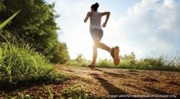 Mount Alterra Jogging Track