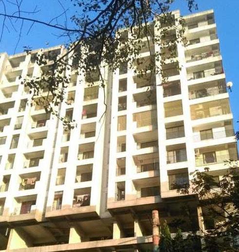 Nirala Crystal Height