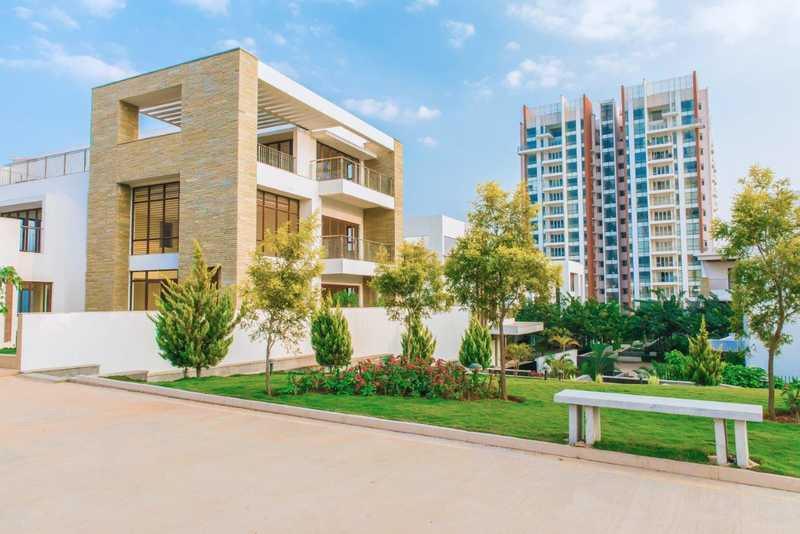 Prestige White Meadows Prestige White Meadows