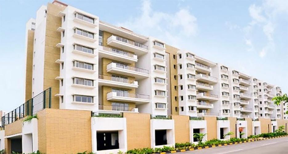 1 BHK Flat for Sale of Built-up 442 Sq.ft in Lodha Freshia Dombivali East Thane by Allwyn Borde 1 BHK Flat for Sale of Built-up 442 Sq.ft in Lodha Freshia Dombivali East Thane by Allwyn Borde