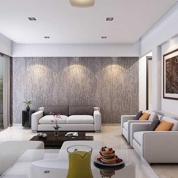 Abhinav The One - Living Area