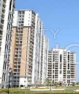 3 BHK Flat for Sale of 1929 Sq.ft in DLF New Town Heights Sector 86 Gurgaon by Property Space India 3 BHK Flat for Sale of 1929 Sq.ft in DLF New Town Heights Sector 86 Gurgaon by Property Space India