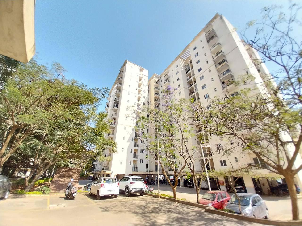DLF Maiden Heights DLF Maiden Heights
