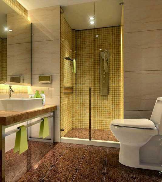 Metro Nakshatra - Washroom
