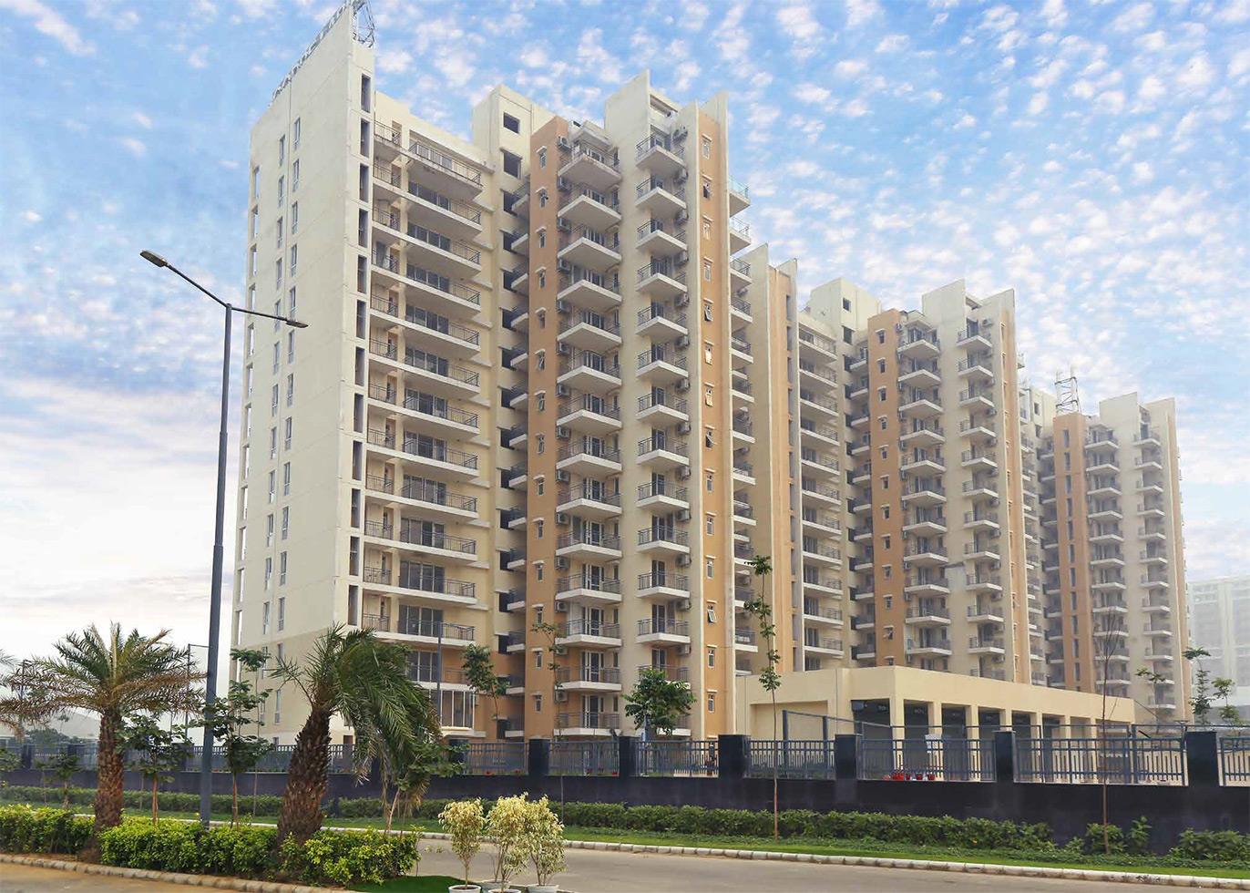 3 BHK Flat for Sale of Carpet 1291 Sq.ft in Godrej Aria Sector 79 Gurgaon by Sureka Yadav 3 BHK Flat for Sale of Carpet 1291 Sq.ft in Godrej Aria Sector 79 Gurgaon by Sureka Yadav