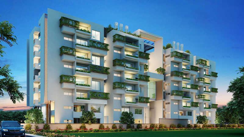 The Formist Treehouse