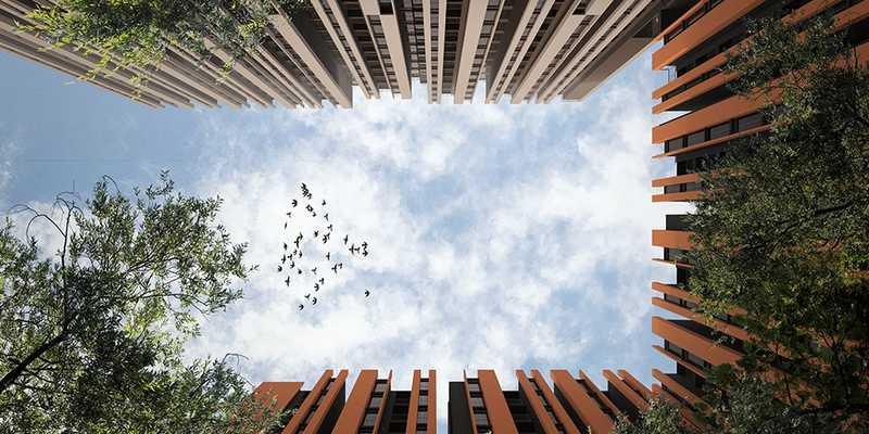 Assetz Canvas and Cove