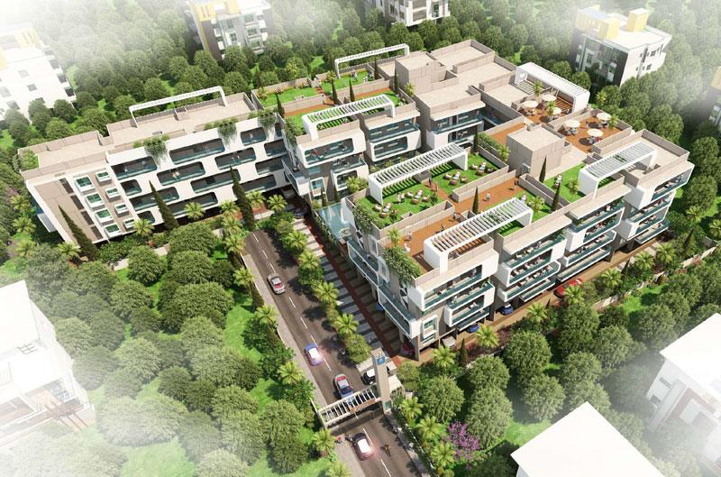Infinity Greenwoods