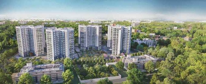 Prestige Pine Forest