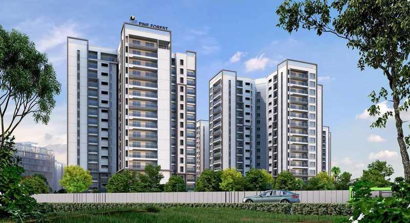 Prestige Pine Forest