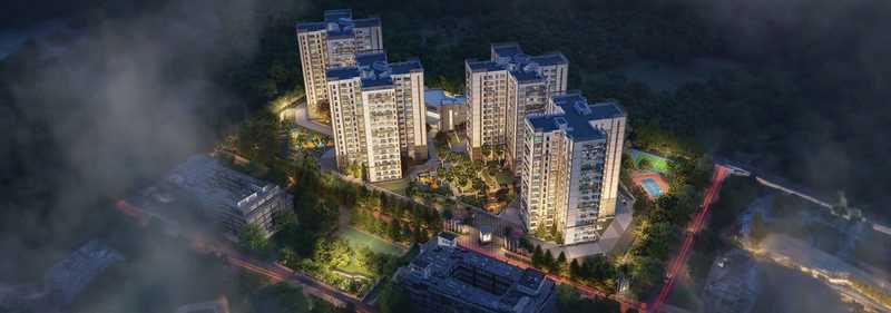 Prestige Pine Forest