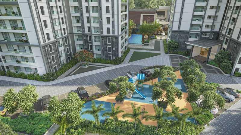 Prestige Pine Forest