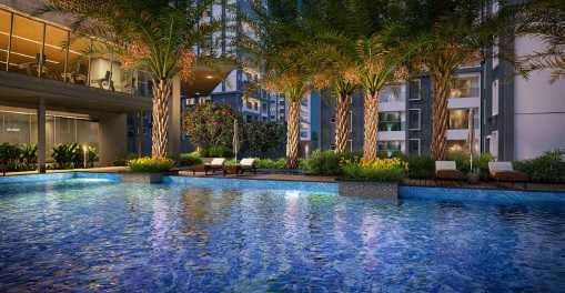 Prestige Pine Forest