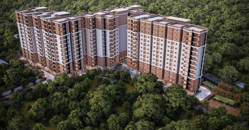 Candeur Novo Gardenia