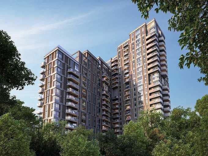 TVS Emerald Cascadia