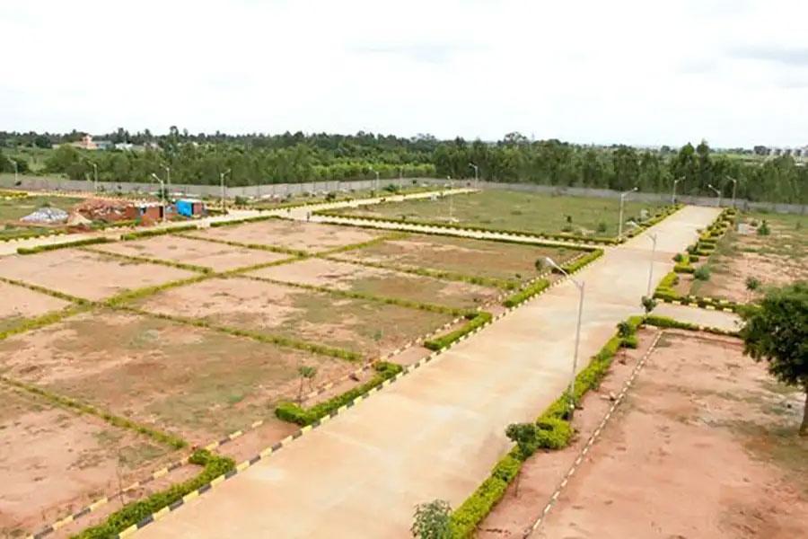 Neoliv Grand Forest